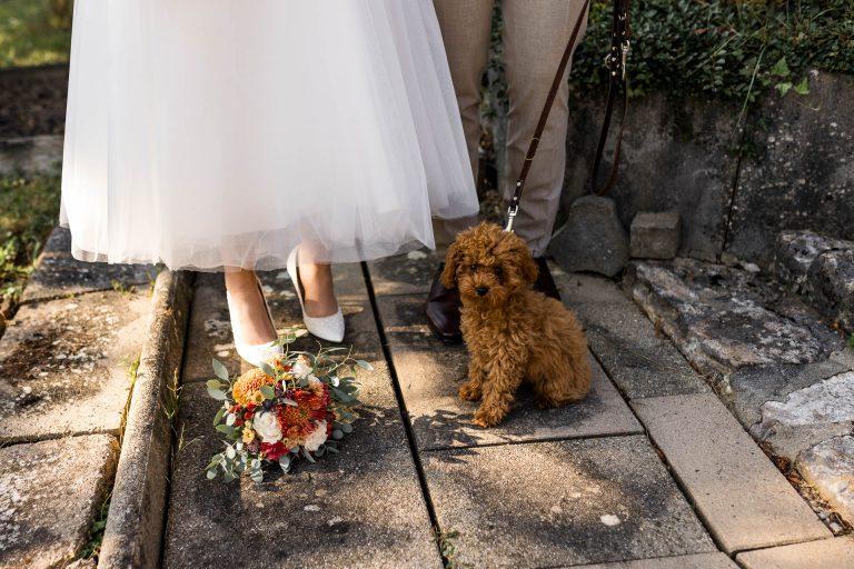 Standesamtlich heiraten im Trappenseeschlösschen in Heilbronn