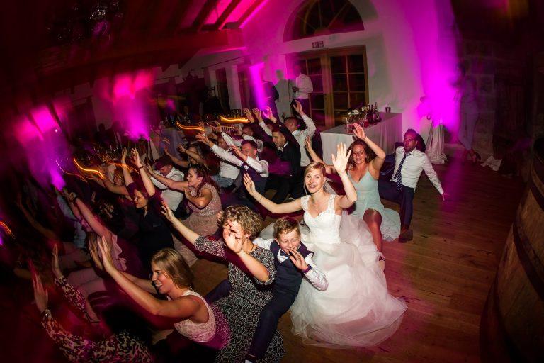Alpaka-Shooting bei Hochzeit
