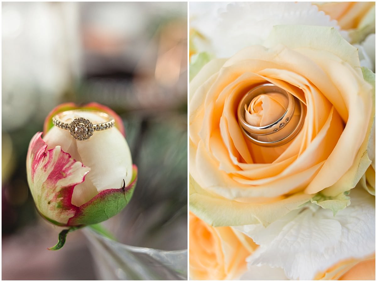 Ringfotos mit dem günstigen Zwischenring für Canon und Nikon