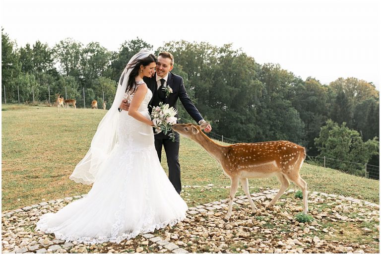 Heiraten auf Burg Staufeneck mit Rehen im Freien