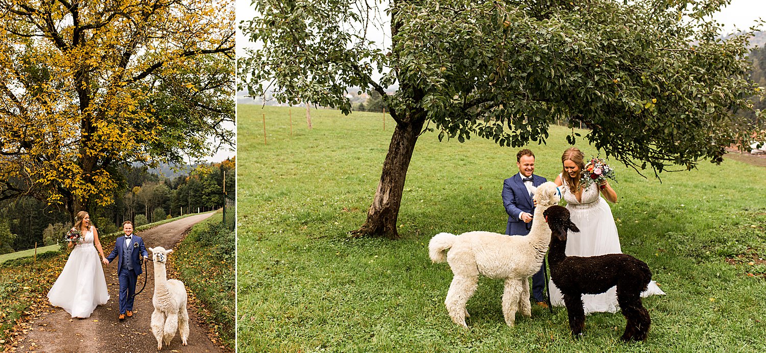 Rustikal heiraten mit Alpakas in Abtsgmünd im Öchsenhof