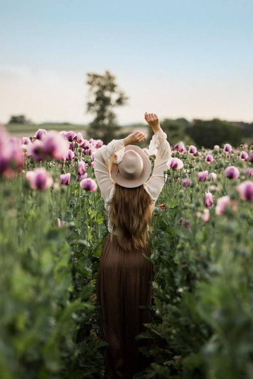 Fotoshooting in lila Mohnblumen in Öhringen