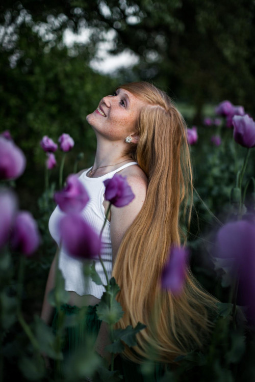 Fotoshooting in lila Mohnblumen in Öhringen